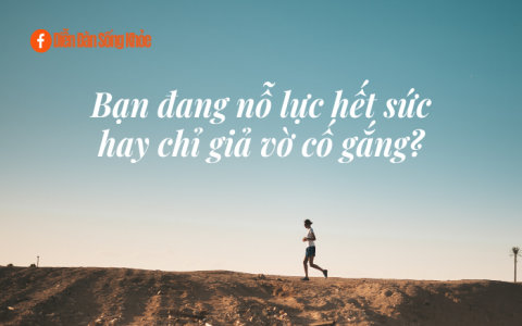 Nỗ lực hết sức chưa chắc đã thành công nhưng nếu không cố gắng chắc chắn sẽ thất bại